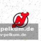 Bittere pille für die new jersey devils