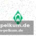 Reaktion von trainerin verschuren