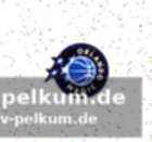 Die bilanz der orlando magic mit und ohne wagner