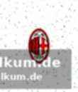 Reaktionen der trainer