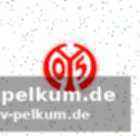 Schwieriges programm für mainz 05