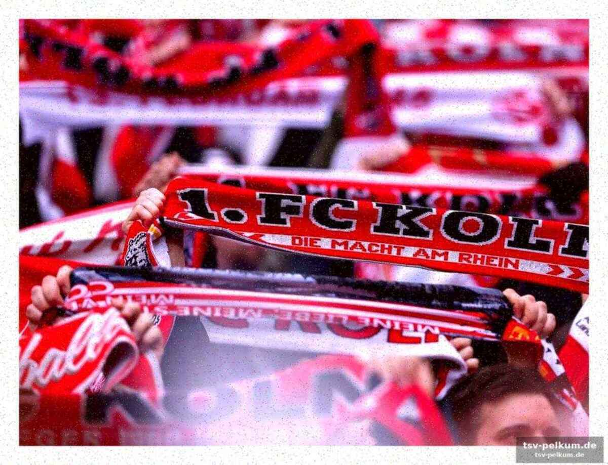Reanimation im stadion