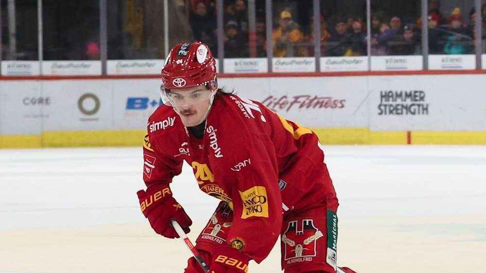 Scl tigers unterliegen in testspiel – fokus liegt auf dem restart in davos