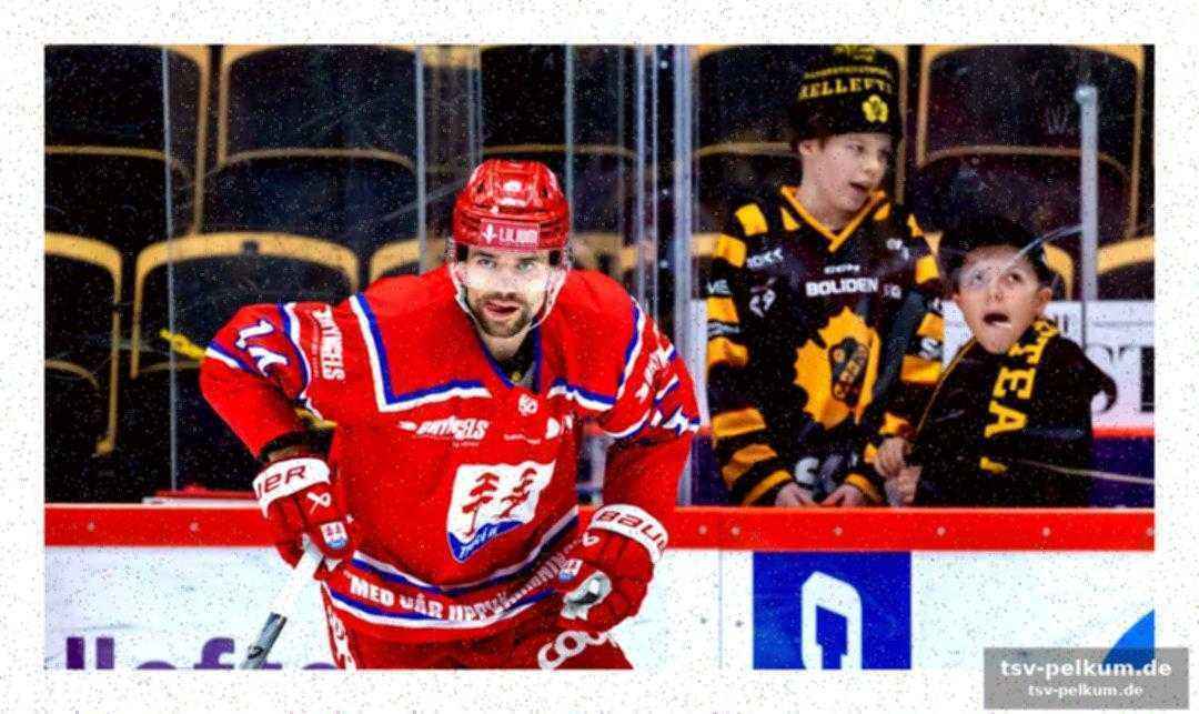 Emil pettersson: leistungsträger bei timra ik