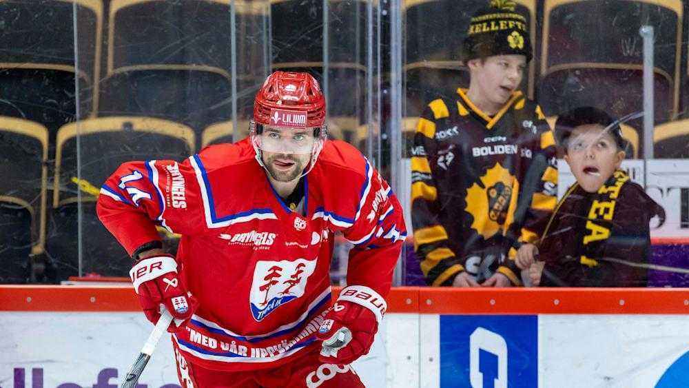Scl tigers werben offenbar weiteren schwedischen stürmer an