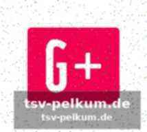 Die italienische presse kocht schon das epitaph