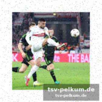 Hoeneß