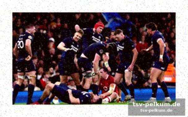 Schottland antwortet mit steyn