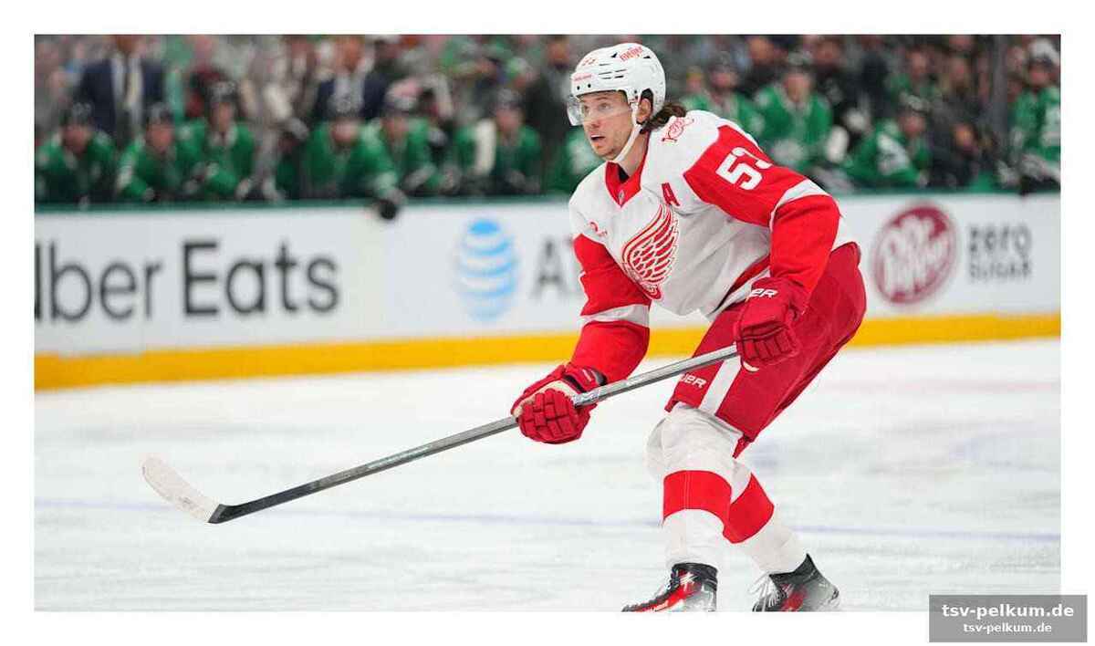 Seiders beeindruckende statistik: ein lichtblick im red wings-dunkel