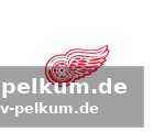 Die bittere wahrheit für die red wings-fans: eine dekade ohne playoffs