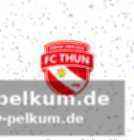 Der kanton bern im team der runde
