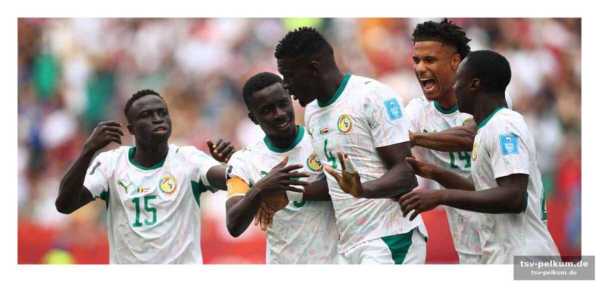 Wm-ausblick: senegal als ernstzunehmender konkurrent