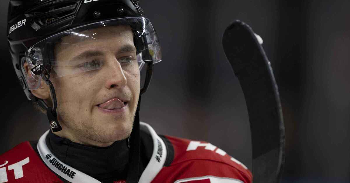 Sennhenn räumt auf: haie feiern wildes playoff-debakel!