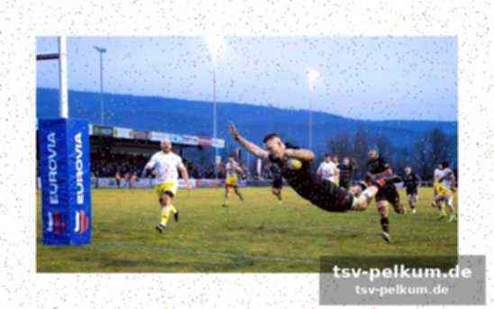 Der entscheidende moment: wolfs try