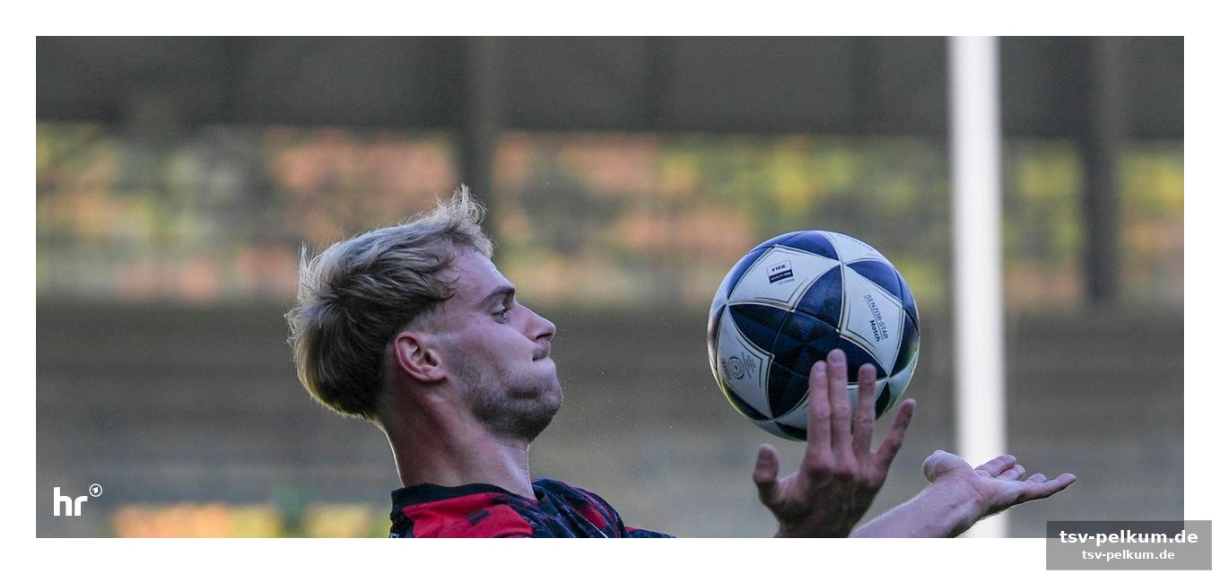 Fsv frankfurt remisiert gegen mainz ii