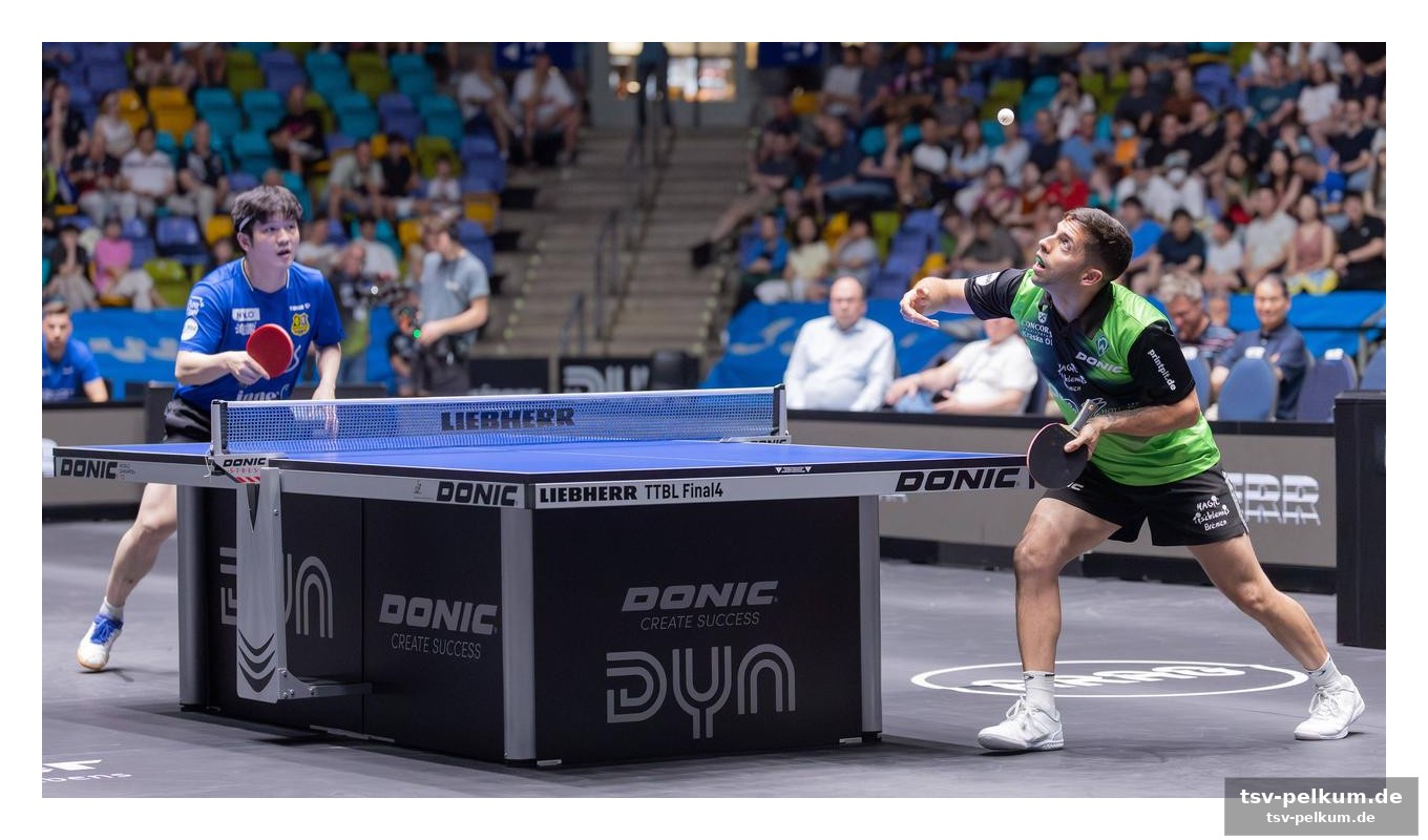 Fan zhendong – ein popstar betritt die halle