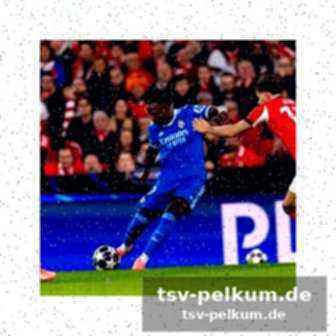 Stimmen zum spiel