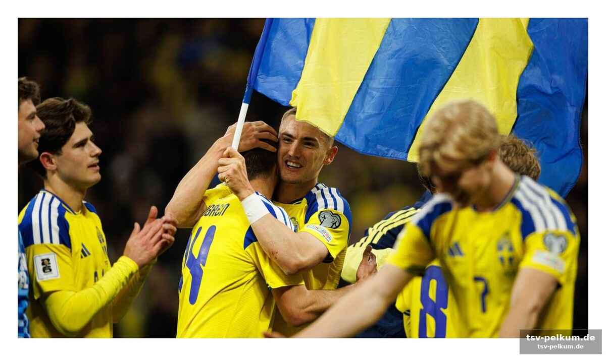 Ein bundesliga-quartett im schwedischen kader