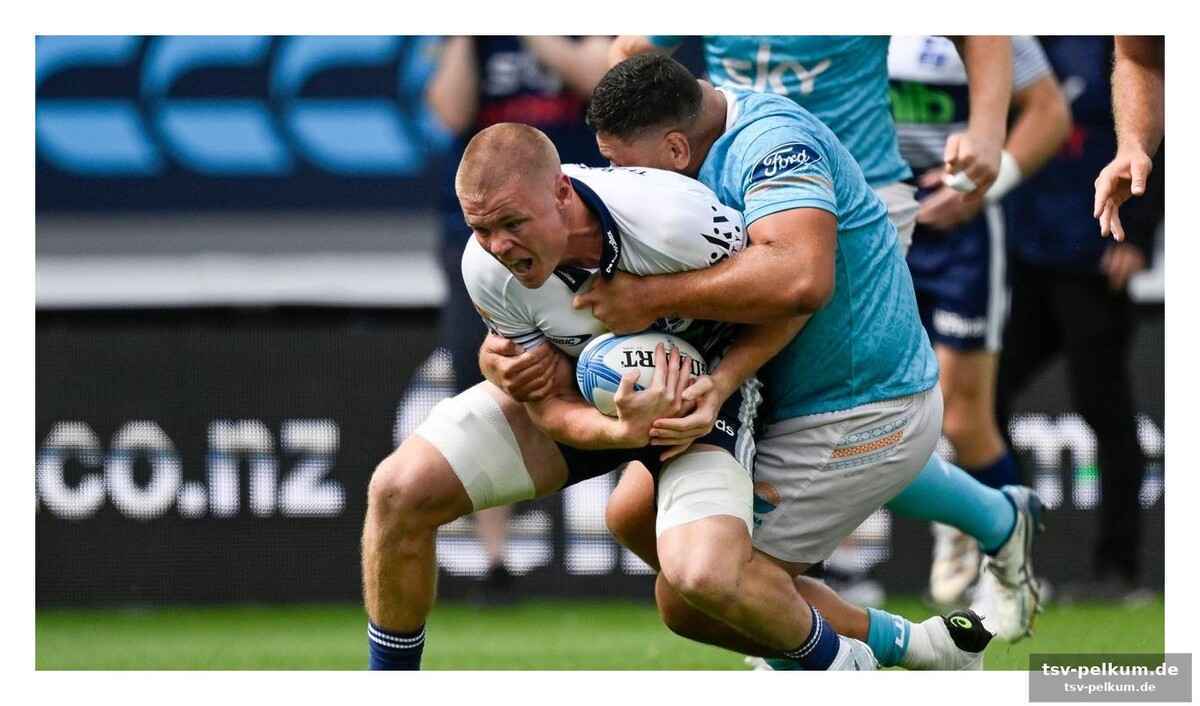 Der weg zum all black: ein frankfurter junge in neuseeland
