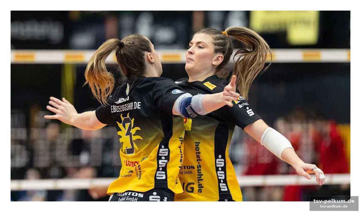 Hollósys meisterstück: ein teamgeist, der begeistert