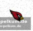 Lafleurs beeindruckende vita: ein offensiv-experte mit erfolgsgarantie