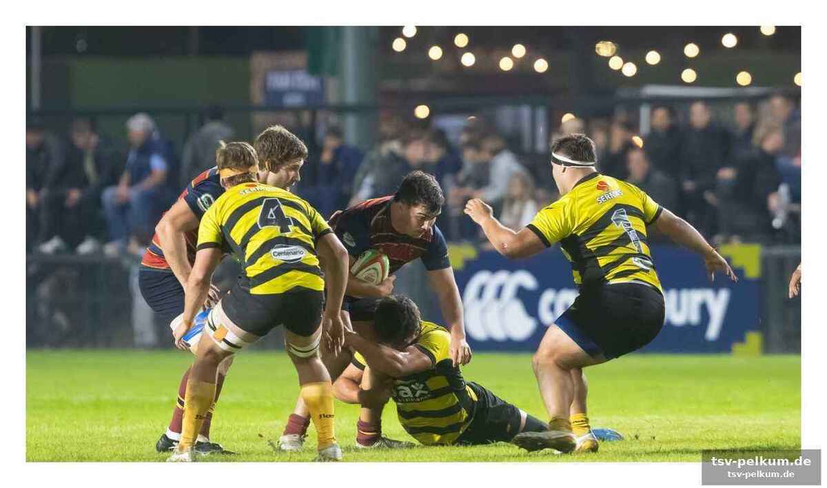 Yacare demoliert dogos xv – überraschung in asunción