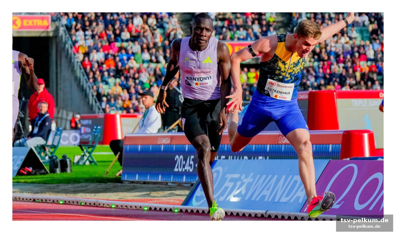 Gout gout: bolt-vergleiche sind übertrieben