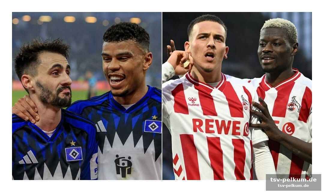 Das komplizierte puzzle der internationalen qualifikation
