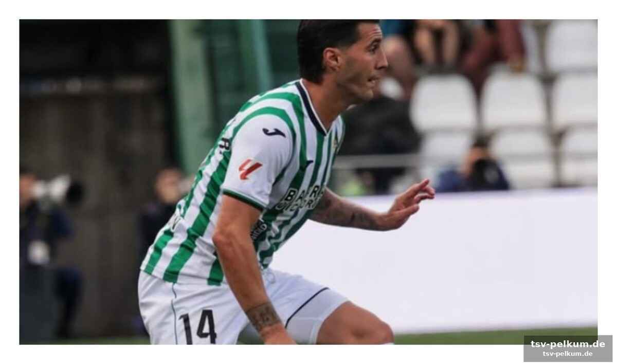 Von manacor nach ganz oben: guardiola
