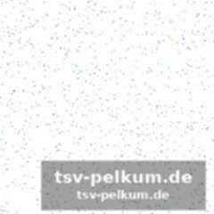 Die bomber verschwinden im mikrofon
