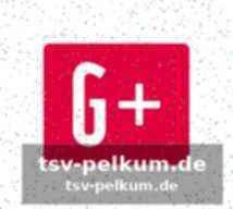 Was die kurve wirklich denkt