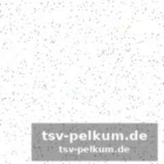 Direkter aufstieg: ein vierkampf um zwei plätze