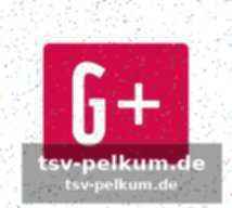 Cremonese und parma: spitzenreiter mit beulen