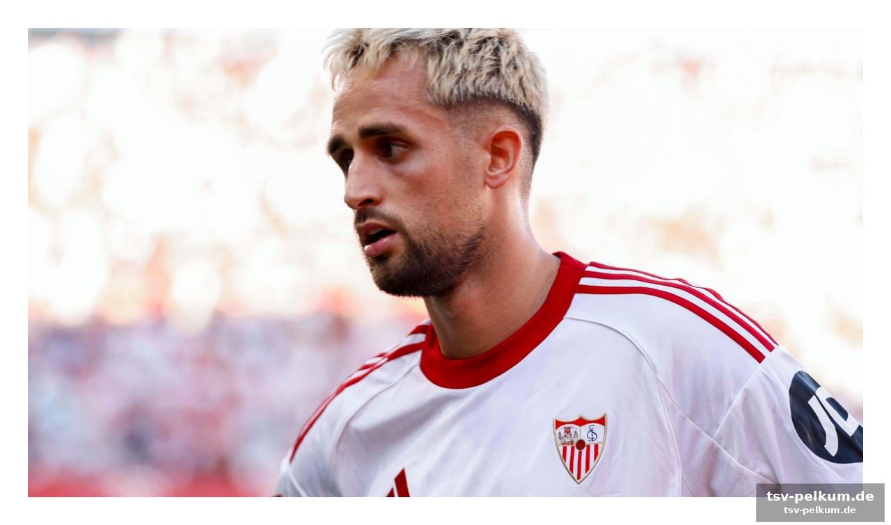 Der schock um nemanja gudelj: ein deal, der platzte