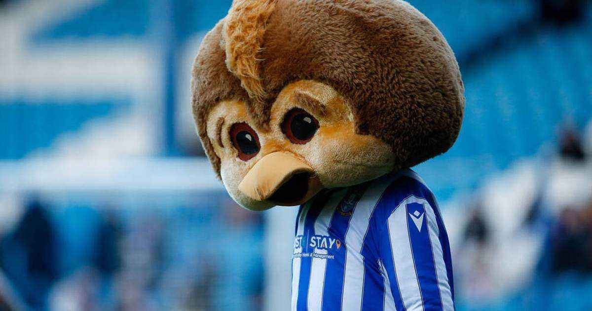Sheffield wednesday stürzt ab: 37 spiele ohne sieg, minuspunkte und ein thunfisch-tycoon als buhmann