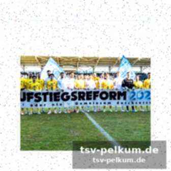 Sicherheitsgefühl der stadionbesucher