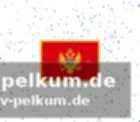 Dinarts neue garde