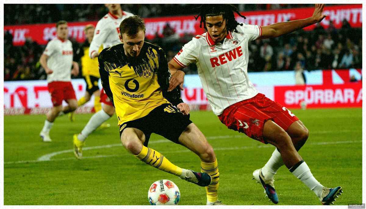 Trippels wutruf und der dfb