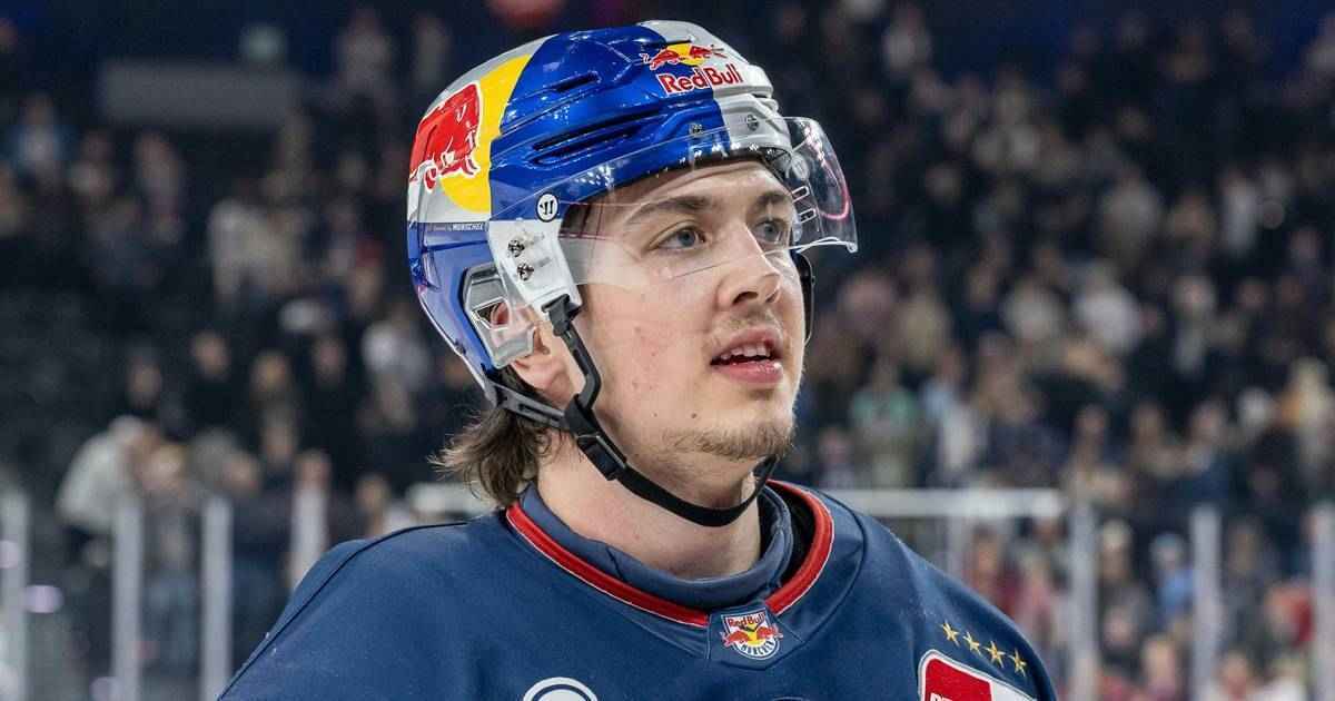 Sinn packt koffer: red-bull-profi reist ins nhl-land hinter dem horizont
