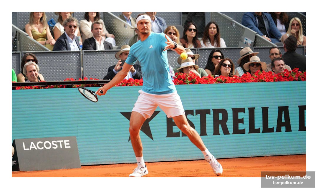 Die french open: eine standortbestimmung für zverev