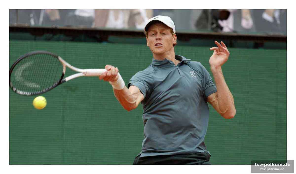 Bonzi: der underdog mit dem potenzial