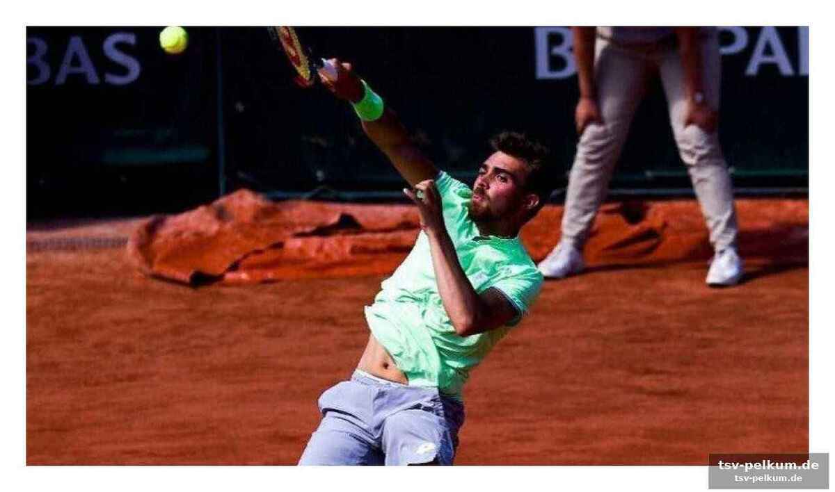 Bonzi: der challenger-könig mit ambitionen