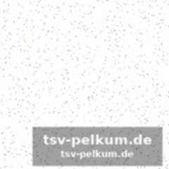 Das preisgeld zieht alle an