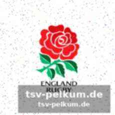Nächste spiele und übertragung