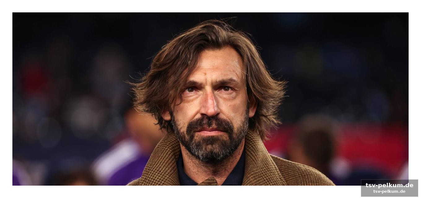 Die verteidigung von pirlo und materazzi
