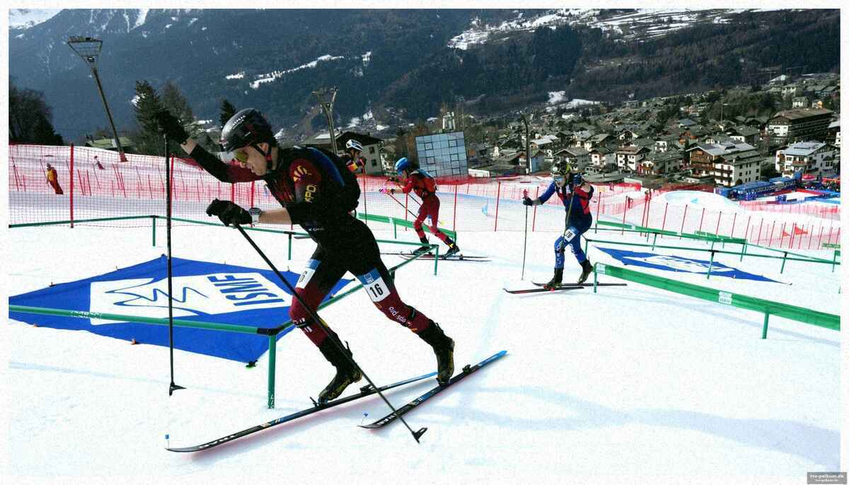 Die olympischen disziplinen