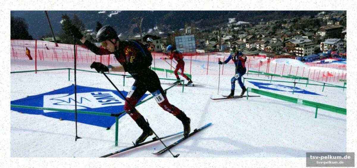 Der sprint im detail