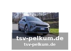 Preise und lieferzeiten: so steht’s um die bestellung