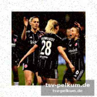 Nächste spiele der skyliners