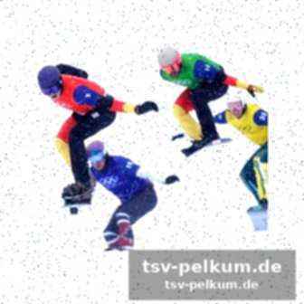 Die stimmen zum rennen